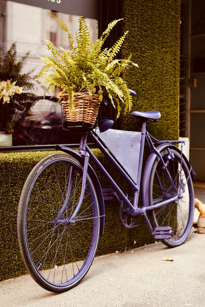 Bici vintage viola con i fiori nel cestino