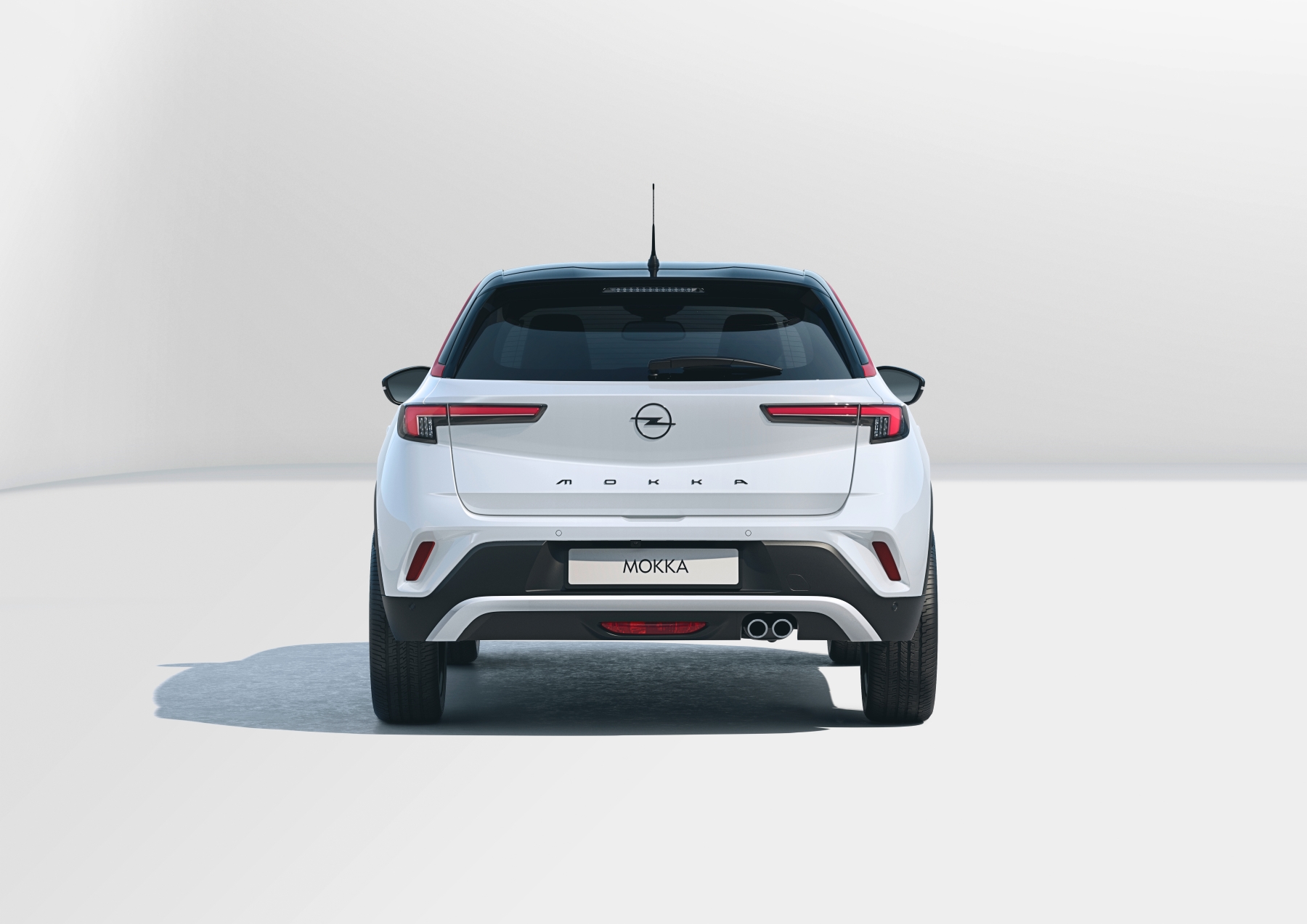 Oper Mokka grigia vista da dietro