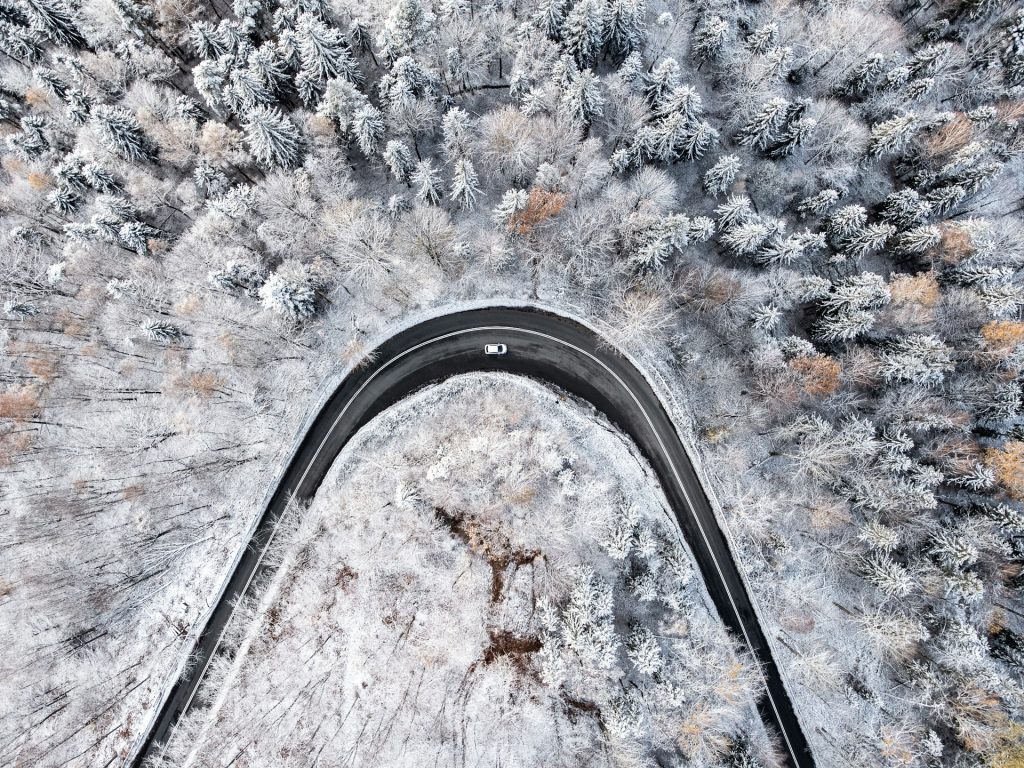 strada cicrvondata da alberi innevati