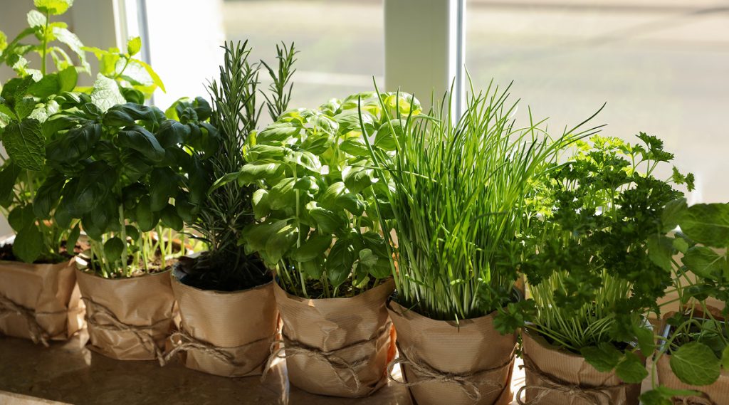 Aromi in vasetti artigianali