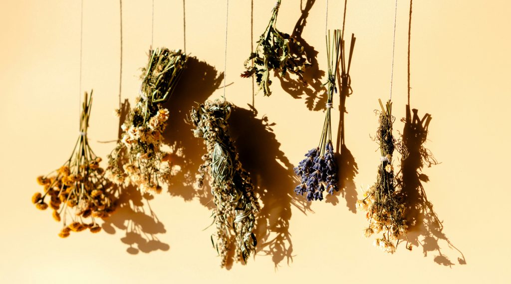 Aromi appesi con corde a una parete