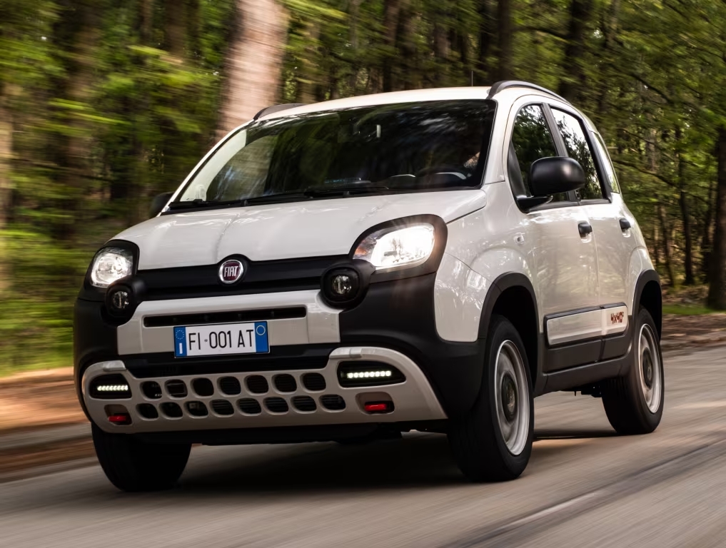 Fiat panda su strada