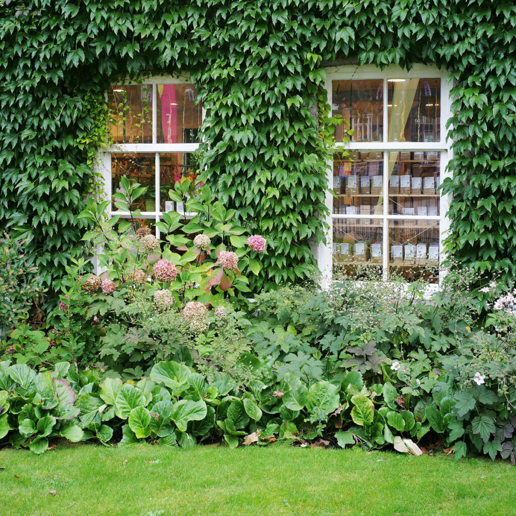 facciata di una casa con giardino verde ed edera